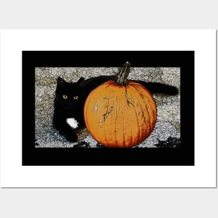 Little Pumpkin - Halloween Kitty Posters and Art